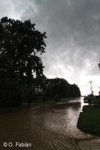 Petřvald