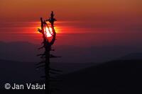 Foto Jan Vašut