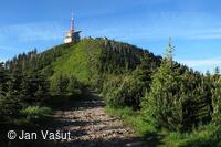 Foto Jan Vašut