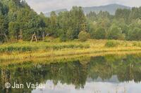 Foto Jan Vašut