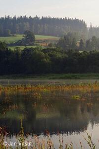 Foto Jan Vašut