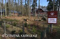 Království perníku