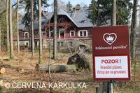 Království perníku