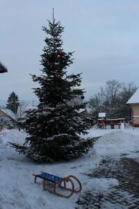 Časy