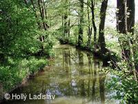 Naučná stezka KOTVICE