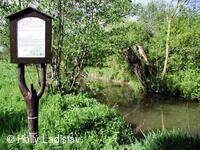 Naučná stezka KOTVICE