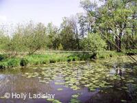 Naučná stezka KOTVICE