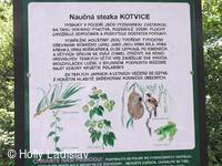 Naučná stezka KOTVICE