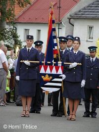 Symboly obce Horní Těšice