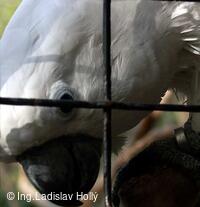 ZOO Praha
