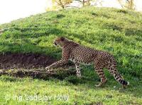ZOO Praha