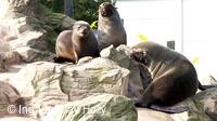 ZOO Praha