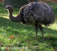 ZOO Praha