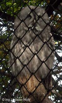 ZOO Praha