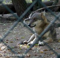 ZOO Praha