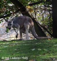 ZOO Praha