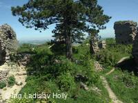 Hrad Starý Jičín 2004-05-21
