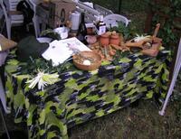 Frenštát pod Radhoštěm