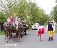 Mezinárodní folklorní festival Česká náves - Dýšina