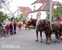 Mezinárodní folklorní festival Česká náves - Dýšina