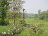 Petřvald