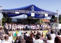 Mezinárodní folklorní festival Česká náves - Dýšina