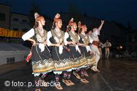 Mezinárodní folklorní festival Frýdek-Místek