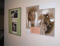 Frenštát pod Radhoštěm