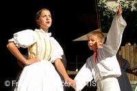 Folklorní festival Slezské dny