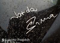 Průvodce a fotograf krajiny Bílých Karpat