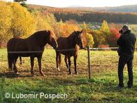 Průvodce a fotograf krajiny Bílých Karpat