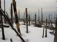 Hodslavice