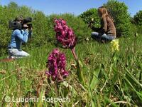 Průvodce a fotograf krajiny Bílých Karpat