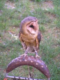 Frenštát pod Radhoštěm