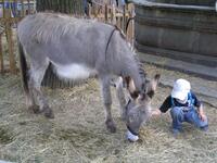 Frenštát pod Radhoštěm
