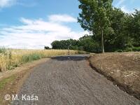Petřvald