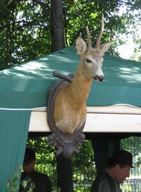 Dům kultury Frenštát pod Radhoštěm