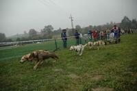 Trnávský sprint 2. ročník 14.-15.10.2006