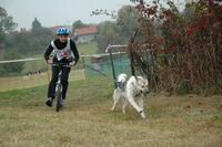 Trnávský sprint 2. ročník 14.-15.10.2006