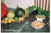 Podzimní výstava - pořádá Klub zahradkářů Trnávka
