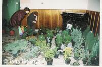 Podzimní výstava - pořádá Klub zahradkářů Trnávka