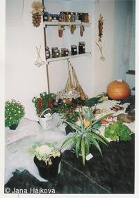 Podzimní výstava - pořádá Klub zahradkářů Trnávka