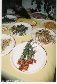 Podzimní výstava - pořádá Klub zahradkářů Trnávka