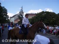 Vodní království