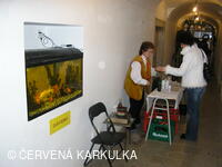 Vánoce v Perníkové chaloupce 2006