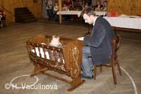 Petřvald