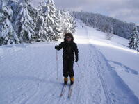 Skurečená 2009