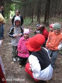 Procházka pohádkovým lesem