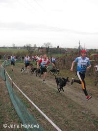 Trnávský sprint 4. ročník - 1. - 2.11.2008