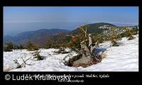 Lysá hora od Luděk Krulikovský